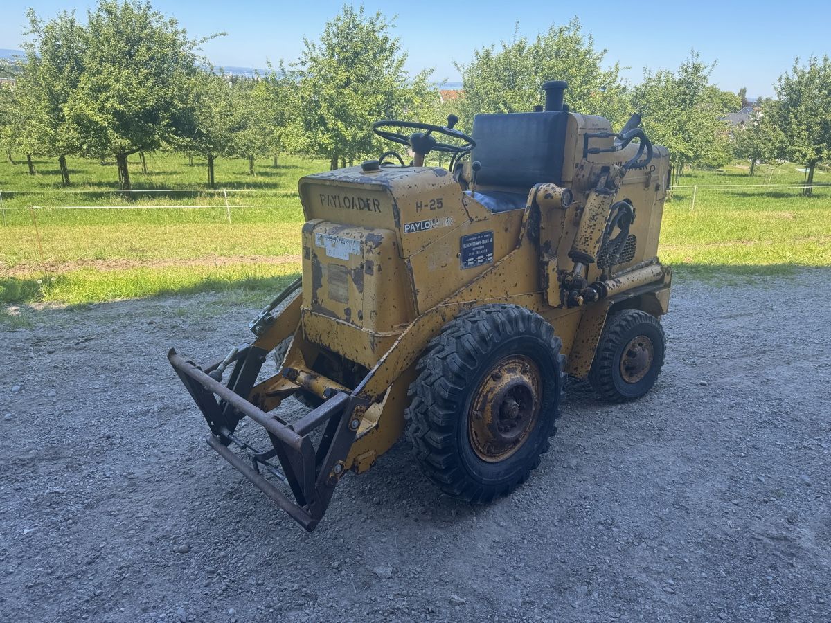 Caricatori: IHC H-25 Payloader Hoflader Radlader – Usato da Winden venduto da farmalld439 4