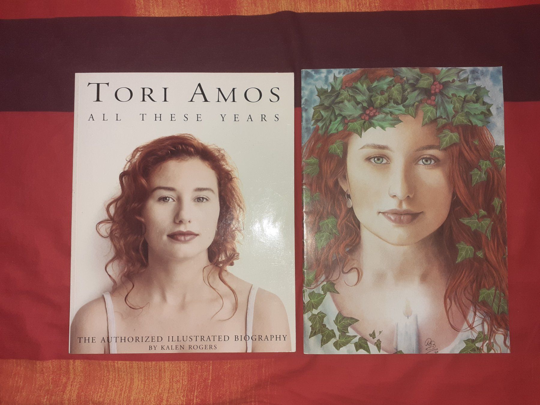 Livres: Tori Amos – D'occasion à Liebefeld par type013
