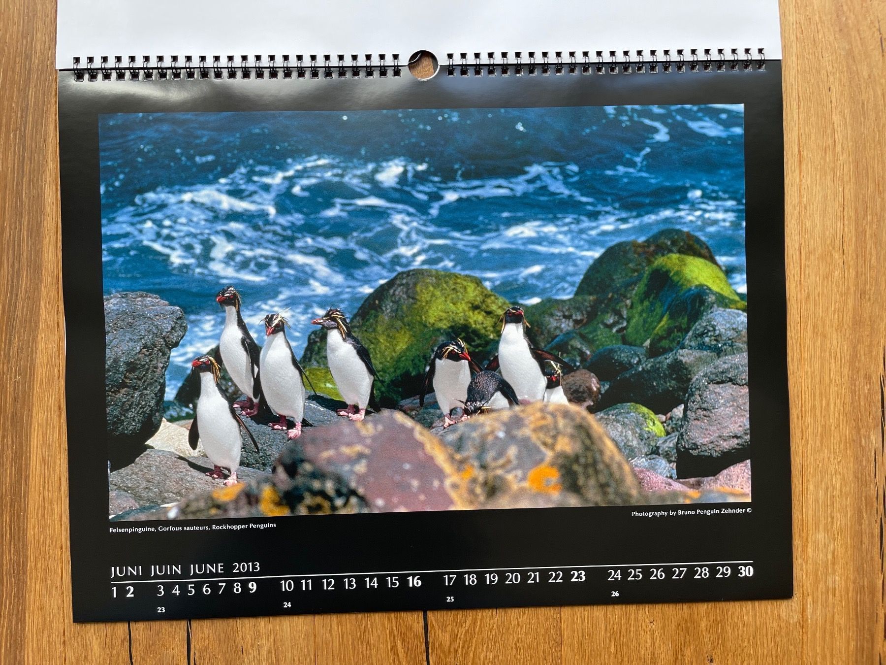 Kalender: Pinguin-Kalender (Bruno Zehnder) – Neu und originalverpackt aus Volketswil von doughboy 6