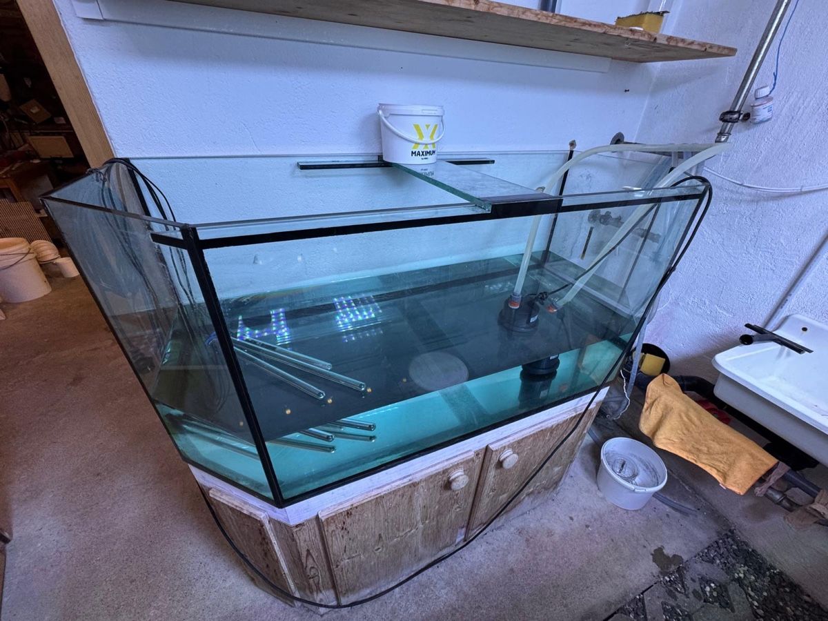 Acquari: Technikbecken zu Aquarium  – Usato da Jonschwil venduto da ursula9 3