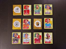 WM 2026 PANINI STICKER