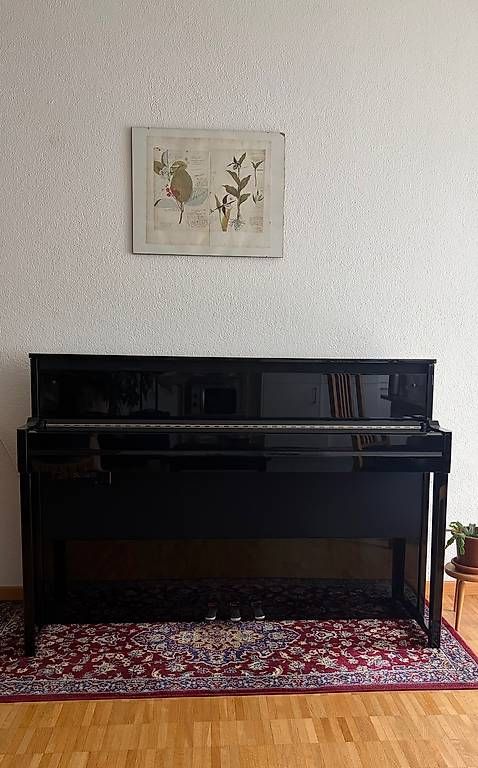 Yamaha Strumenti musicali: Yamaha NU1X PE – Usato da Luzern venduto da rah_r8zx 1