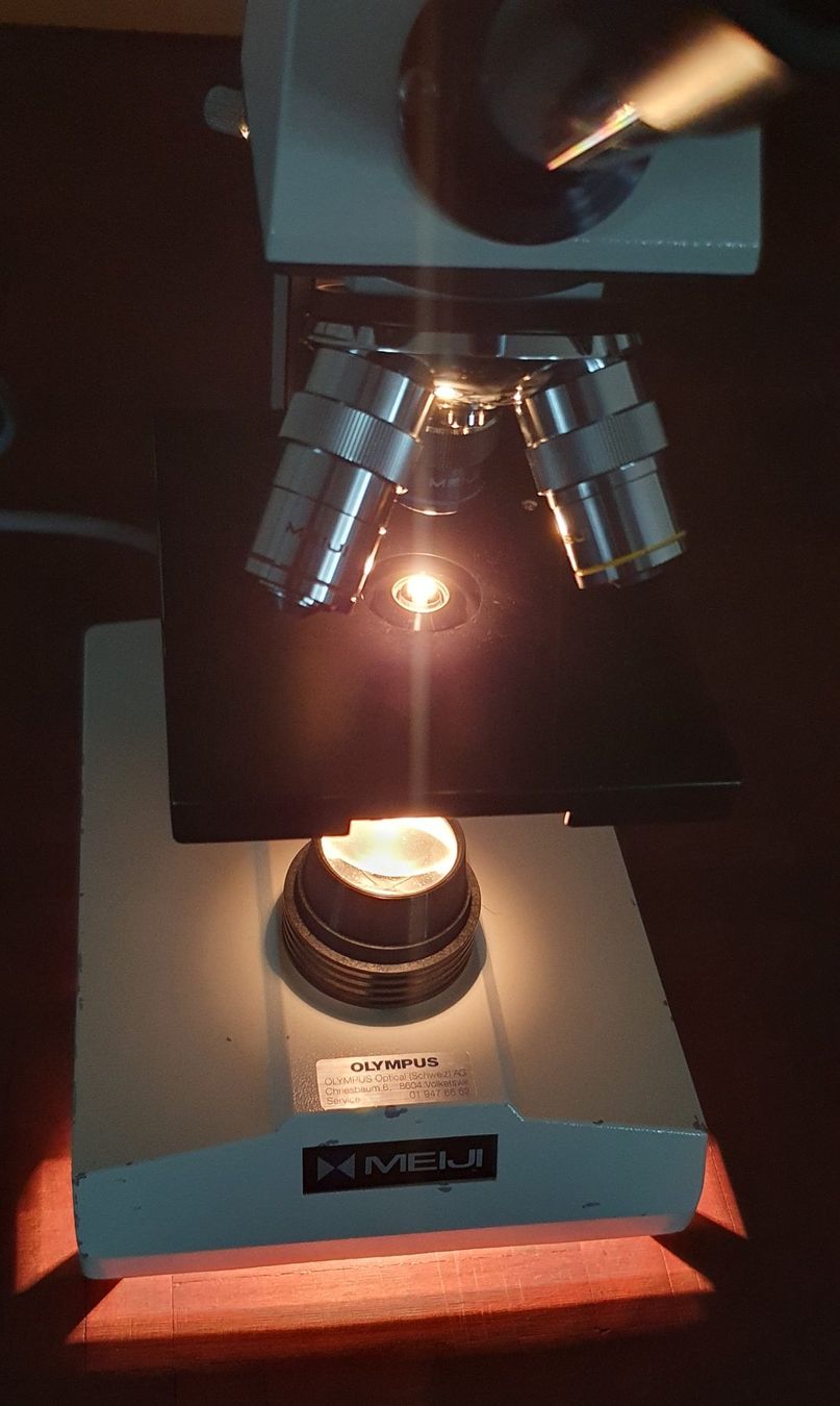 Olympus Microscopi: Mikroskop MEIJI TECHNO – Usato da Kreuzlingen venduto da Rschweiz1 4
