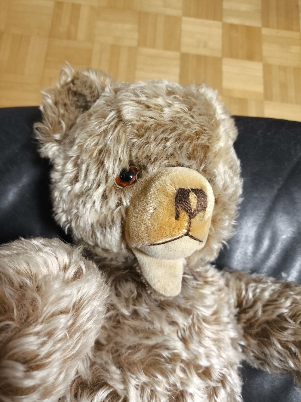 Steiff Giocattoli: Vintage Steiff Bär Zotti 53 cm – Usato da Gipf-Oberfrick venduto da hituliina 1