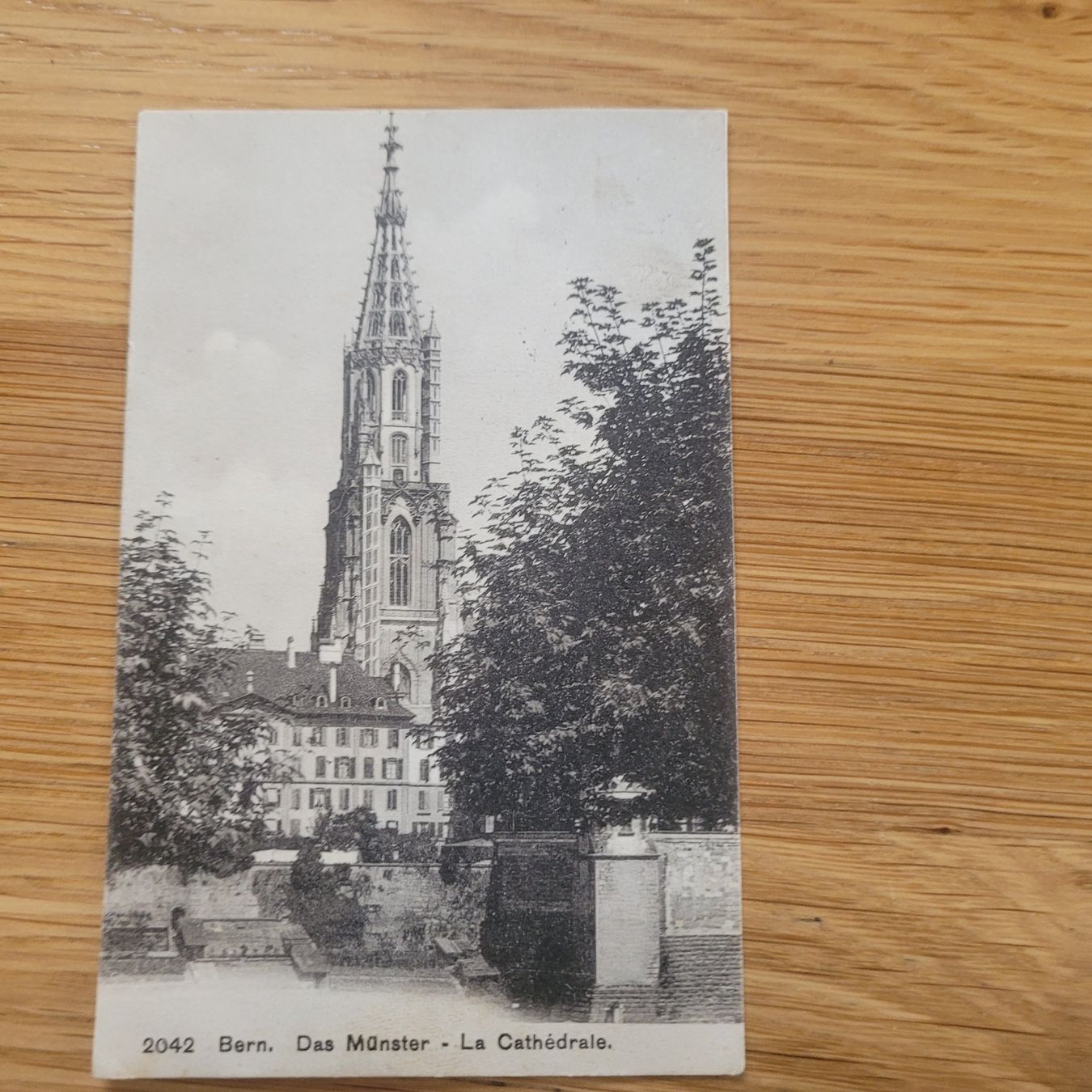 Cartoline postali: Postkarten Bern Das Münster 1908 – Usato da Biel/Bienne venduto da Destockweb