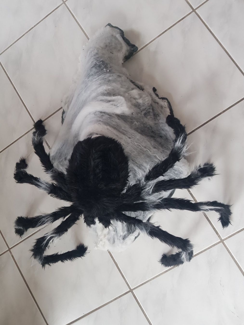 Tutte le decorazioni: HORROR/ HALLOWEEN GROSSE SPRINGSPINNE – Usato da Root venduto da LifestyleAccessoires 6
