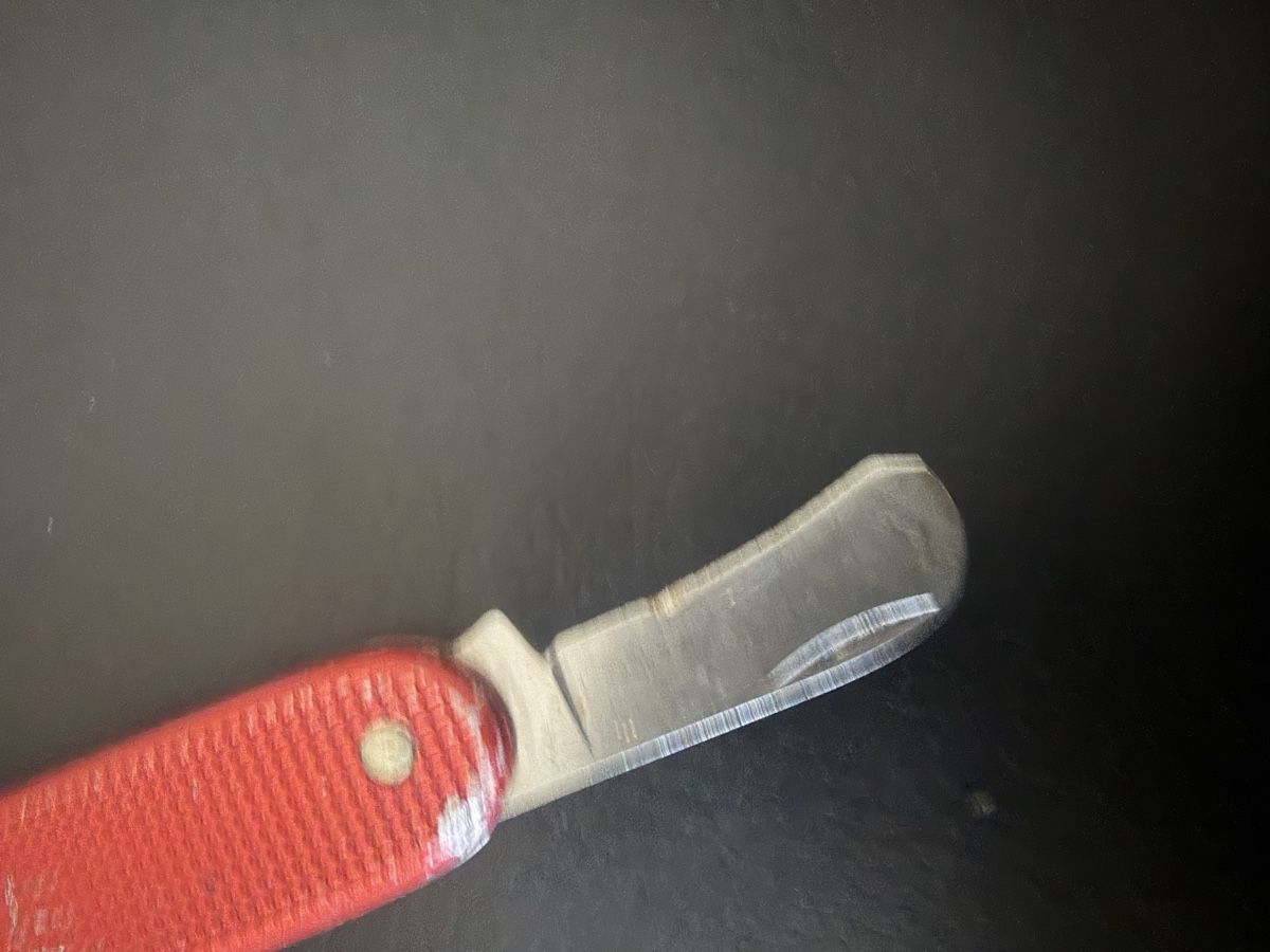 Victorinox Coltelli tascabile: Sackmesser Victorinox-Elinox – Usato da Baden venduto da noli.r 4