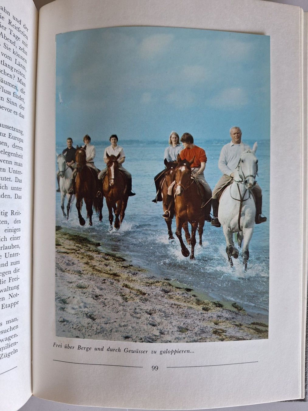 Livres: DAS PFERD Gérad Bernier AvantiVerlag – D'occasion à Zürich par t24_de 5