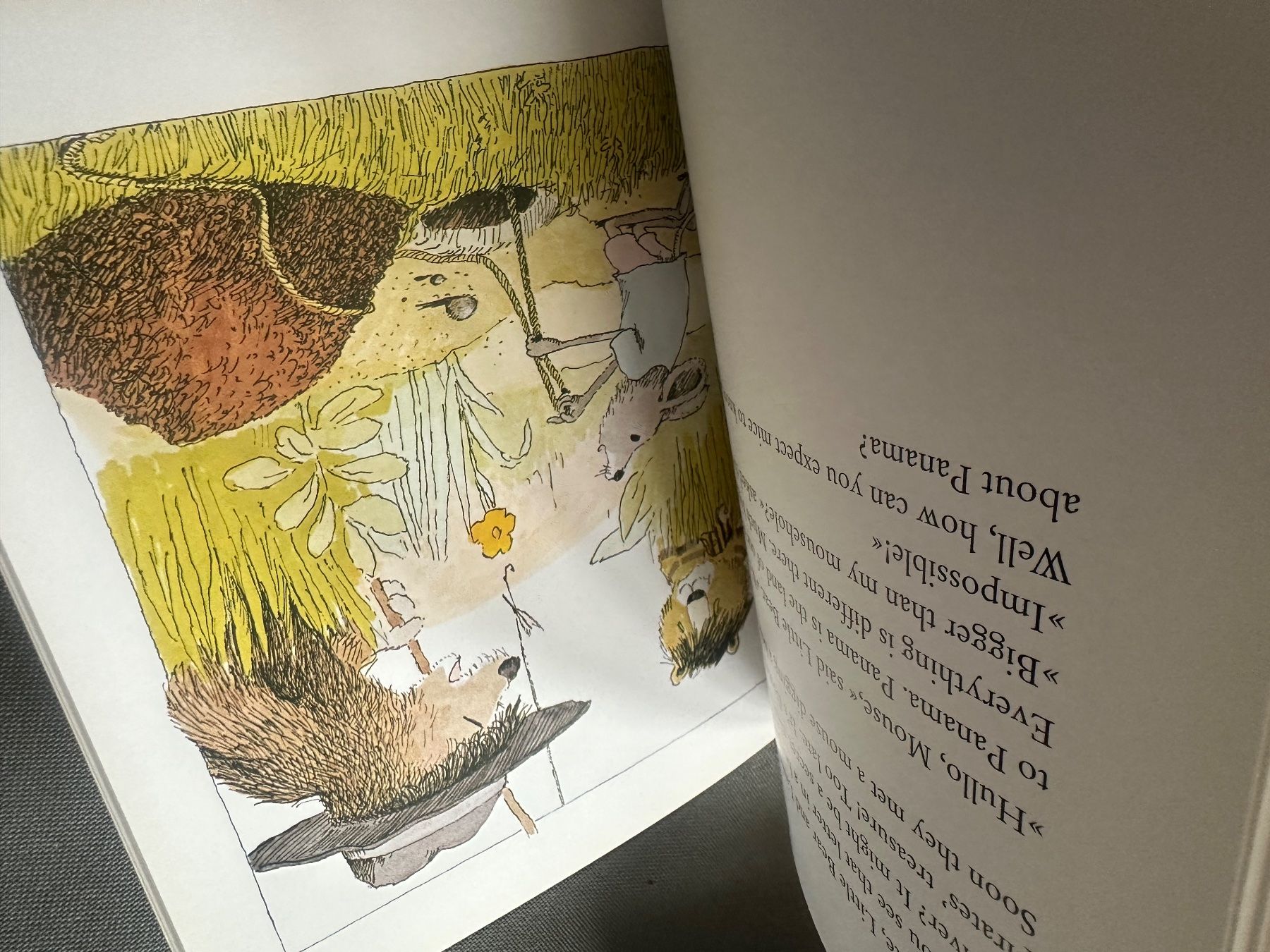 Libri: Janosch The Trip to Panama – Usato da Uster venduto da bek_v2ct 6