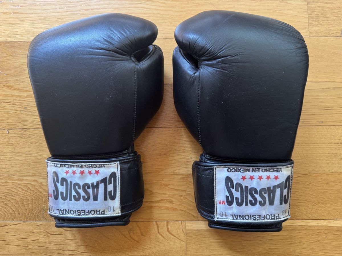 Handschuhe & Handstulpen: NEU Classics Professional Boxing Gloves 10oz – Neu (gemäss Beschreibung) aus Bern von hoshone