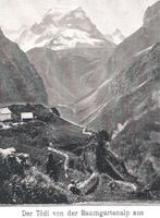 28.6.1900 sw Litho/Glarus Baumgartenalp top Sicht