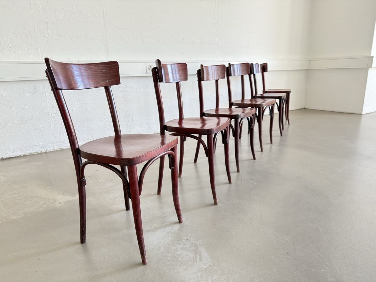 Thonet Sedie: 6 antike Thonet-Stühle, restauriert – Usato da Grenchen venduto da Design-Outlet 4
