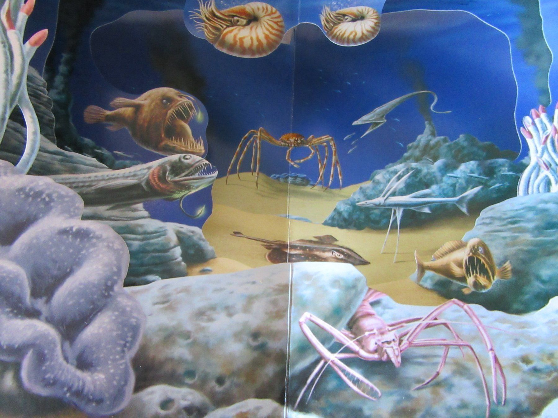 Libri: Pop - Up Buch Scenari 3D Oceani – Usato da Rüdtligen venduto da Carfield04 4