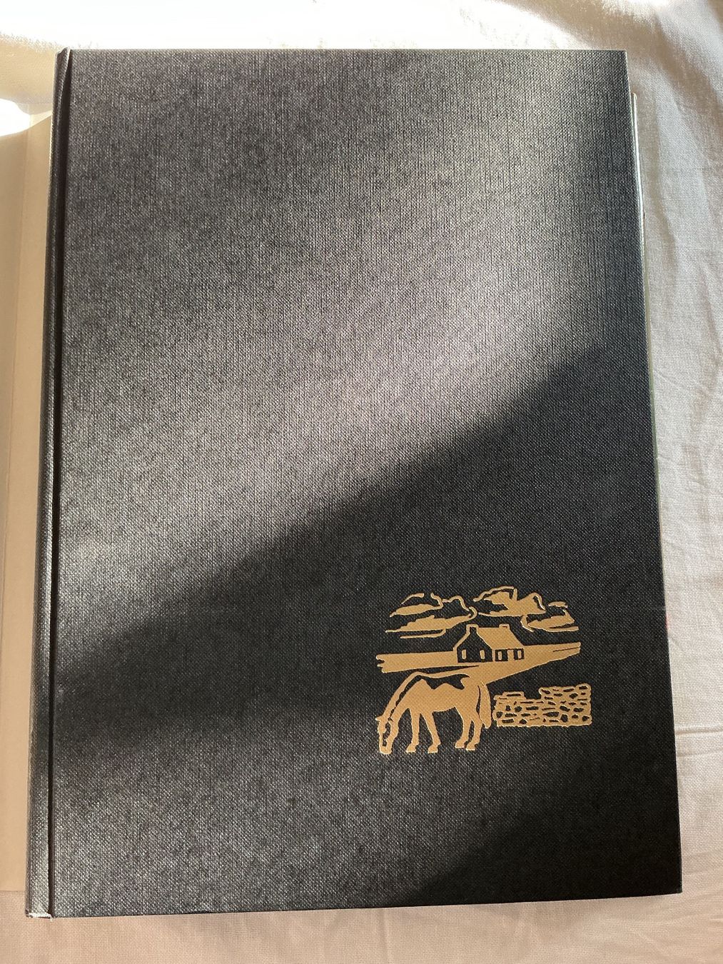 Libri: Silva Buch Irland – Usato da Niederhasli venduto da ercp4 3