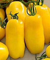 Banana Legs Gelb Bio - Flaschentomate - 25 Samen