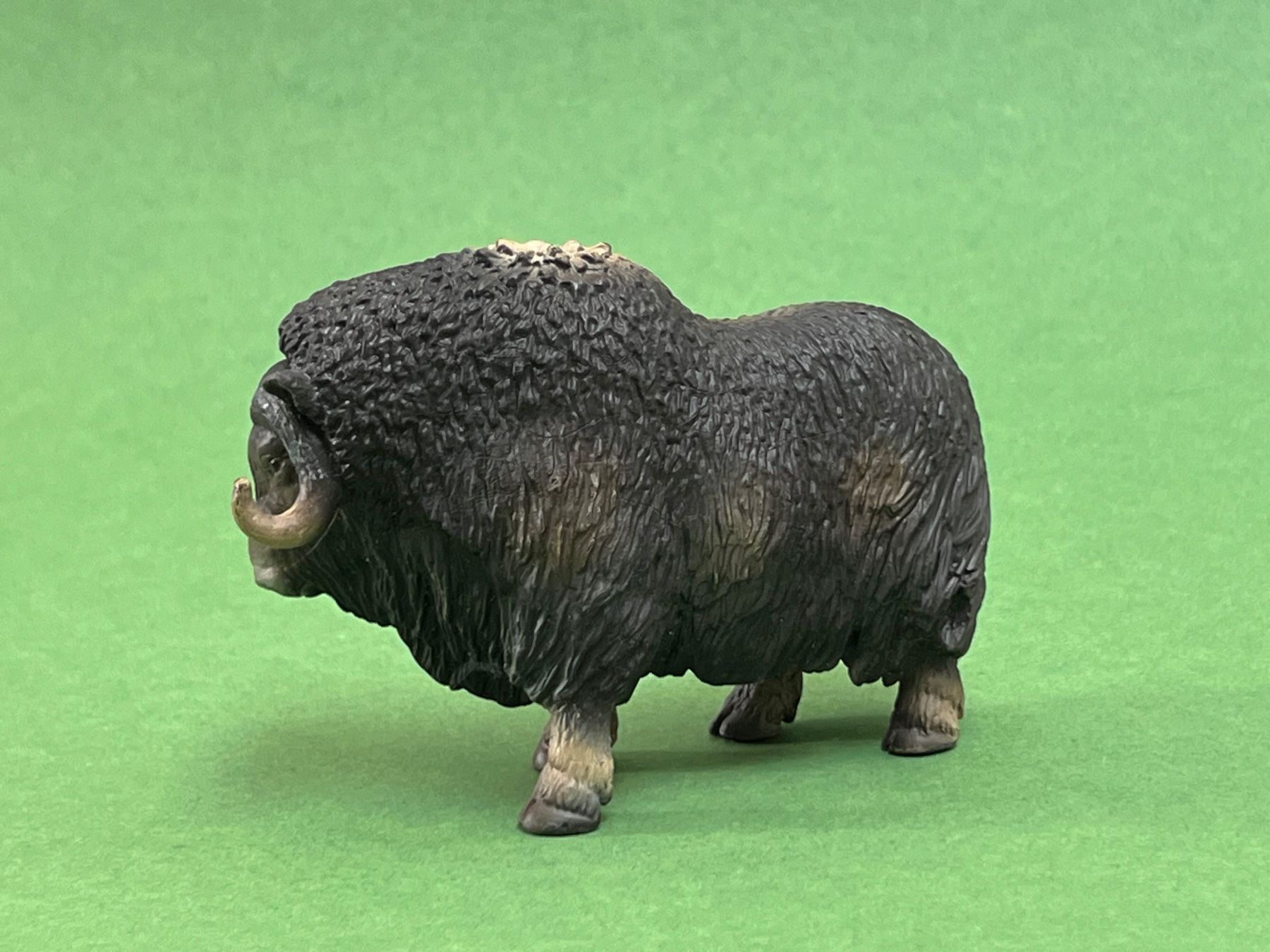Schleich Statuette: Schleich - Moschusochse 14332 Ochse – Usato da Ennetbaden venduto da mapa05 5
