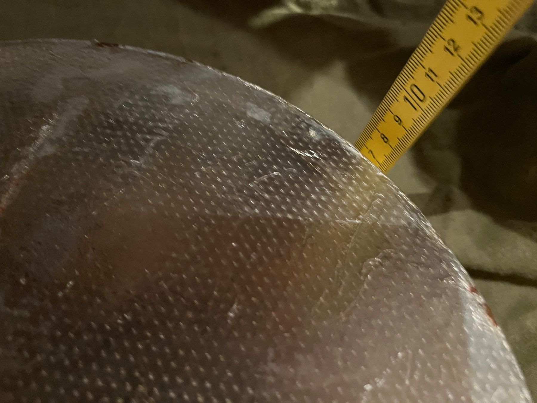 Elettrodomestici da cucina: Käselaib Dekoration ca29 cm/9 cm – Usato da Urnäsch venduto da schneewittli. 4