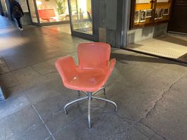 Design Stuhl Cappellini. orange Lieferung gratis