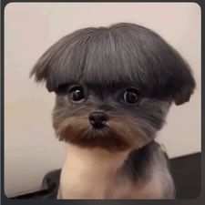 Profile image of Export1Ro