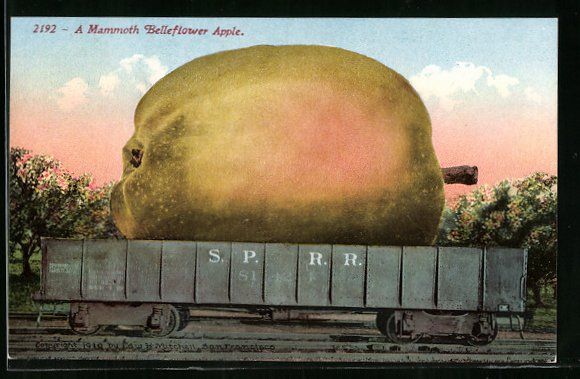 Cartoline postali: Optische Täuschung mit gigantischem Apf – Usato da Berlin venduto da bartko-reher