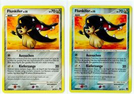 Flunkifer Rare & Reverse Holo 24