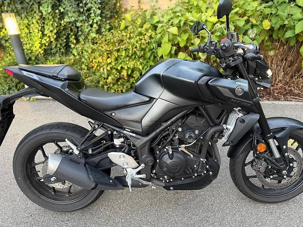 Strada: YAMAHA MT-03 ABS – Usato da Neuhaus SG venduto da sara.lourenco92
