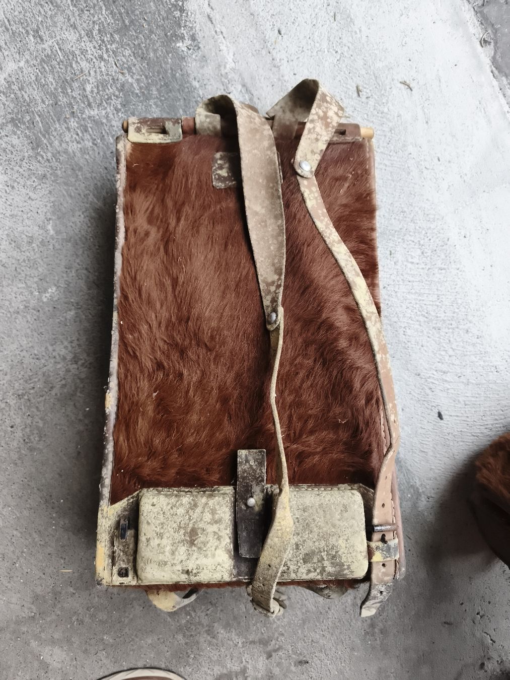 Zaini: Rucksack Fell Leder braun 2 Stk. gebraucht – Usato da Buchs AG venduto da huusmeister 1