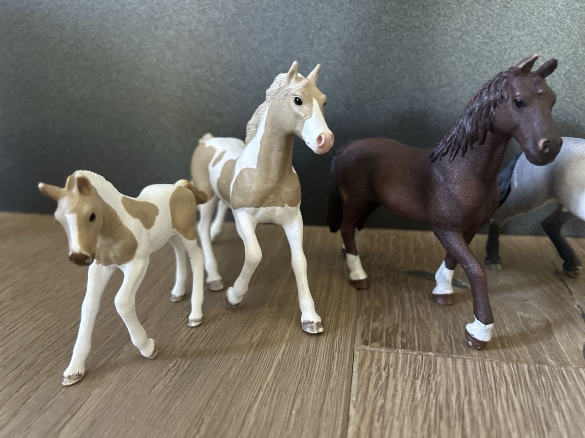 Schleich Giocattoli: Schleich Pferde – Usato da Winterberg ZH venduto da Amina023 2
