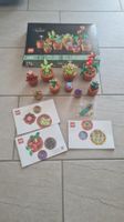Lego Icons / 10329 / Botanical / Mini Pflanzen  / JG 2023