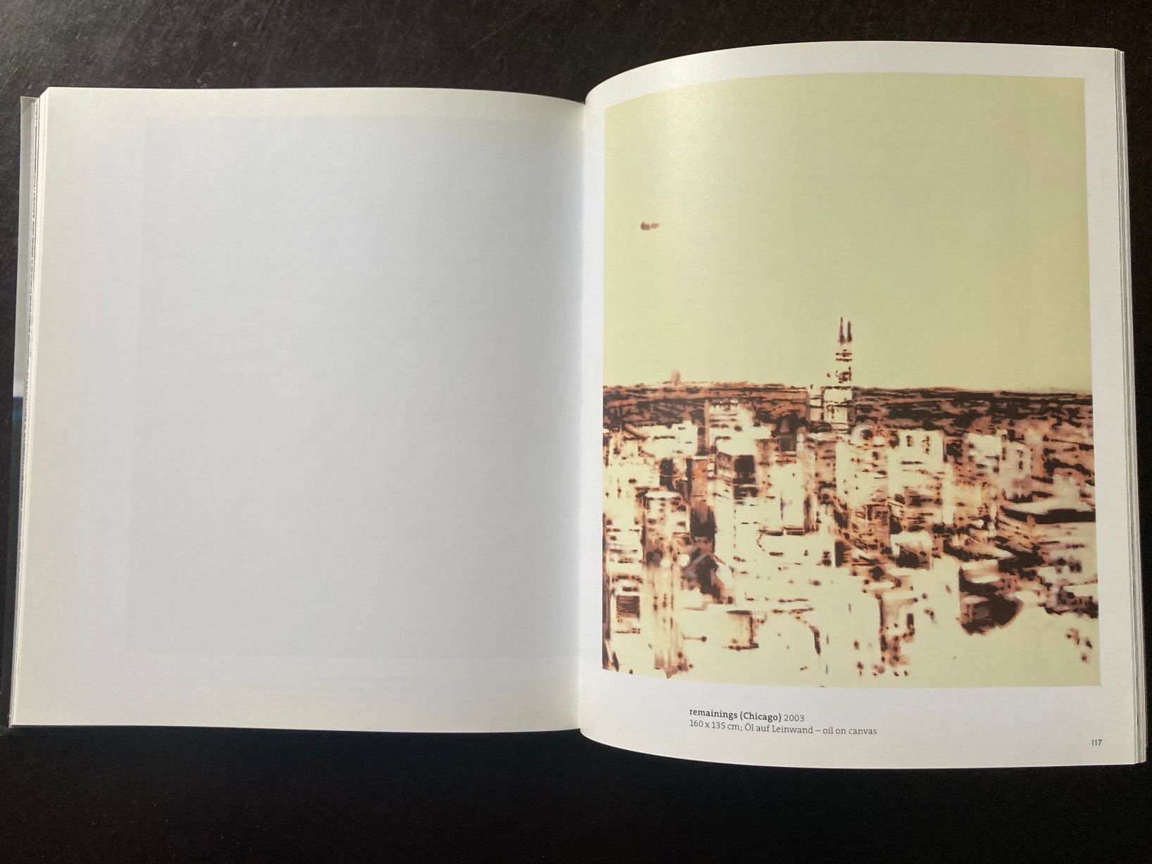 Libri: Pascal Danz, Der zweite Blick - The second View – Usato da zürich venduto da Tombola8 2