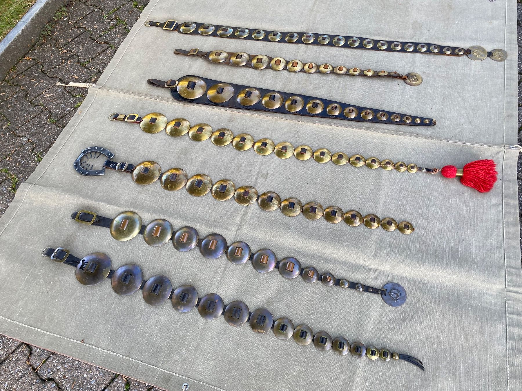 Campanacci mucche: 7 schöne Staatsriemen – Usato da Feldbach venduto da Fea1 5
