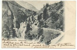 GRIMSELSTRASSE Zubentunnel - Pferde-Kutsche