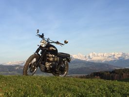 Triumpf Srambler