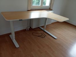 Stehpult L-Form elektrisch höhenverstellbar Holztop 160x110