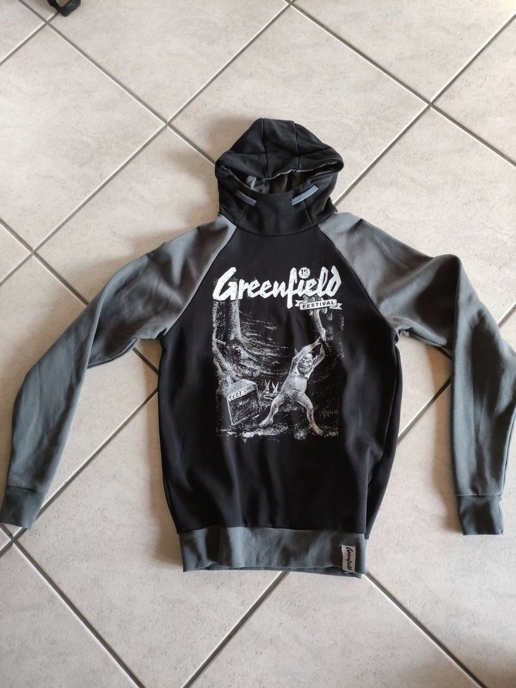 Maglioni & Felpe: Greenfield Pullover (Gr.S-M) – Usato da Hauptwil venduto da Sirfreeze
