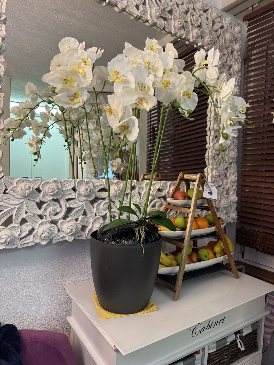 Tutte le decorazioni: Künstliche  Orchideen – Nuovo (secondo la descrizione) da Zürich venduto da Privat4444 4