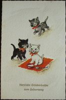 AK KATZEN Glückwunsch Geburtstag