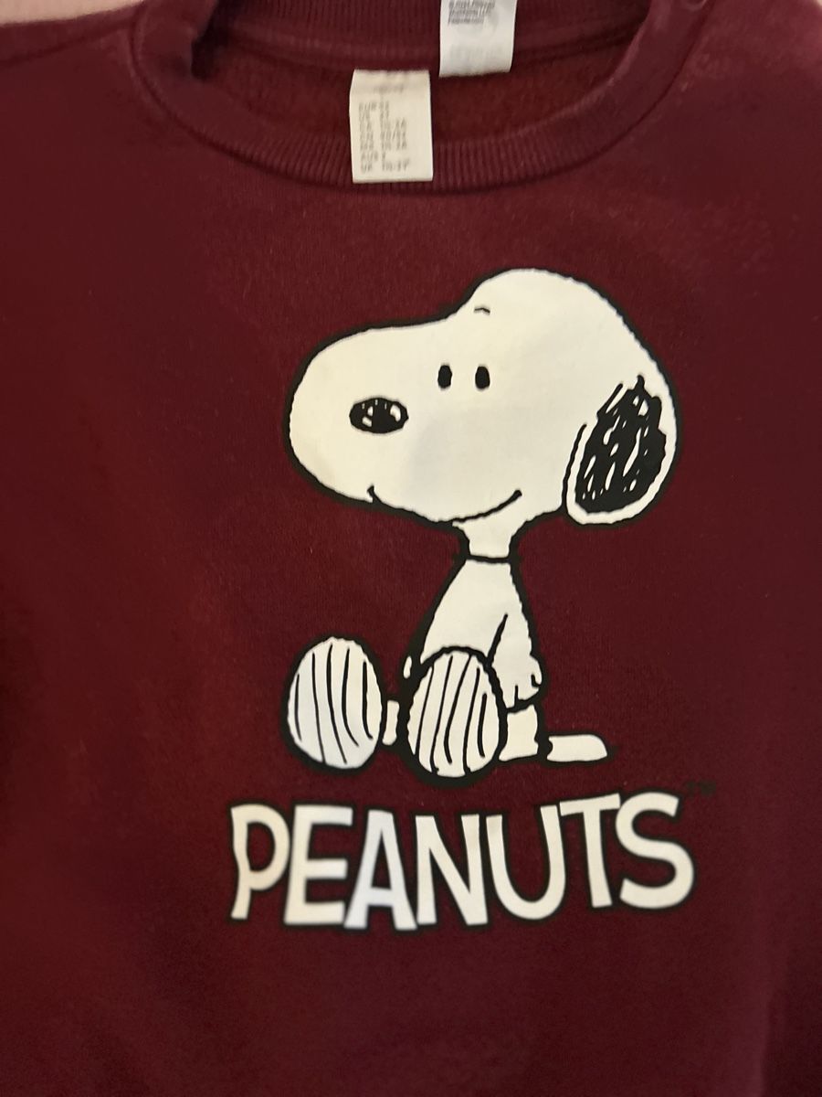 H&M Maglioni & Felpe: Snoopy H+M Peanuts Set, Grösse 92 – Usato da St. Gallen venduto da oli_ryy9 1