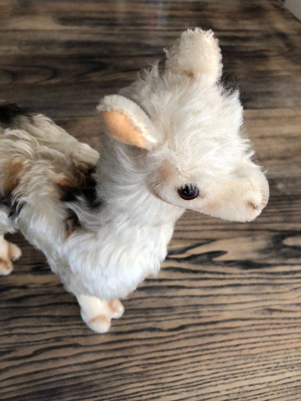 Steiff Spielzeuge: Original STEIFF Lama Stofftier Sammelfigur – Gebraucht aus Berg am Irchel von Zweiti_Chance 3