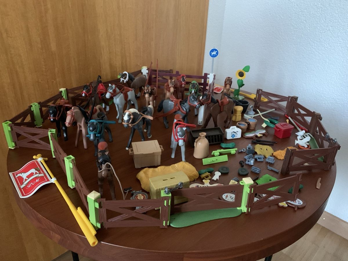 Playmobil Giocattoli: Playmobil chevaux et accessoires équestres – Usato da St-Imier venduto da gui_6b6f
