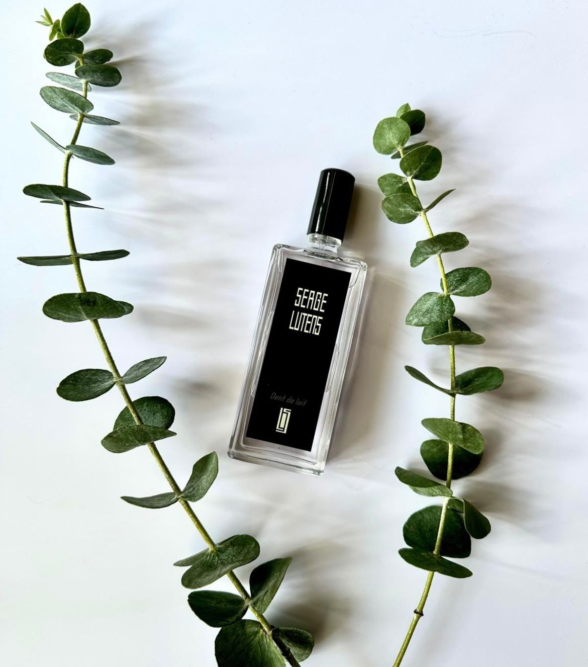 Serge Lutens Parfum & Eau de Toilette: Serge Lutens Dent de Lait eau de parfum  6 ml sample – Neu (gemäss Beschreibung) aus Chêne-Bougeries von Seetooyoo 2