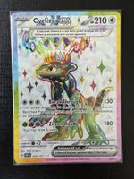 Cyclizar ex #228 SSP EN
