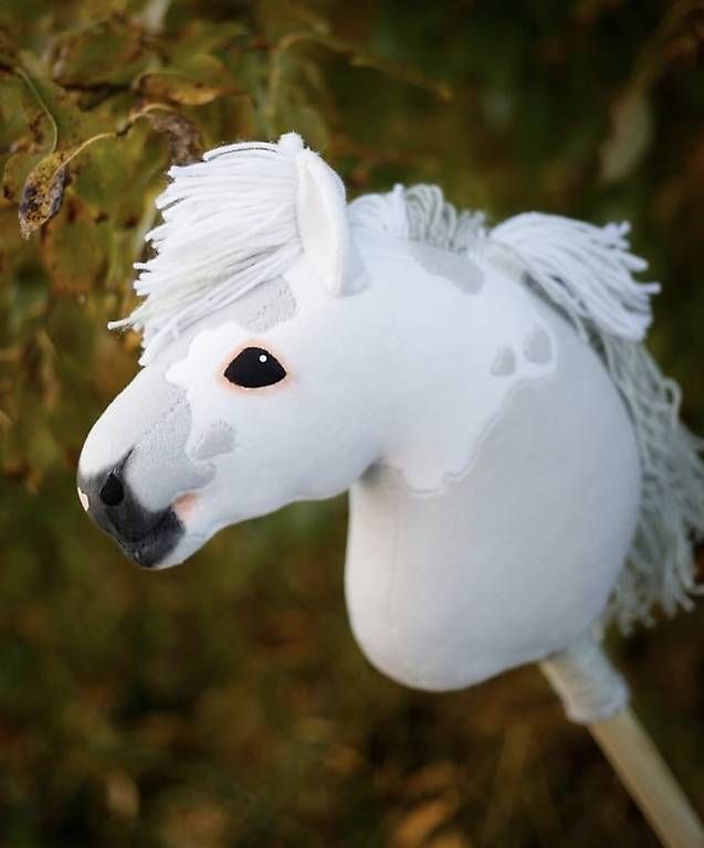 Giocattoli: Hobby Horse CENNET – Usato da Susten venduto da Kht_formidable