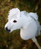 Hobby Horse CENNET
