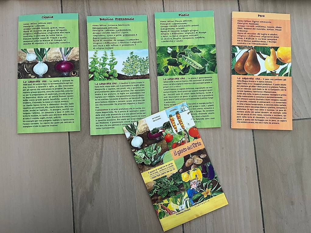 Giochi: Gioco dell'orto e giardino zen – Usato da Locarno venduto da ran_c5zb 3