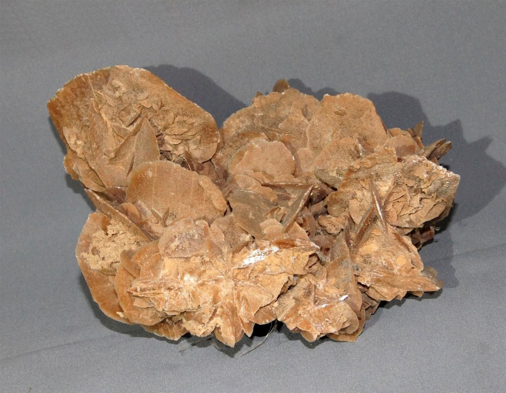 Mineralien & Heilsteine: Beeindruckende, grosse Sandrose – Gebraucht aus Geroldswil von ARTEFACTO 4