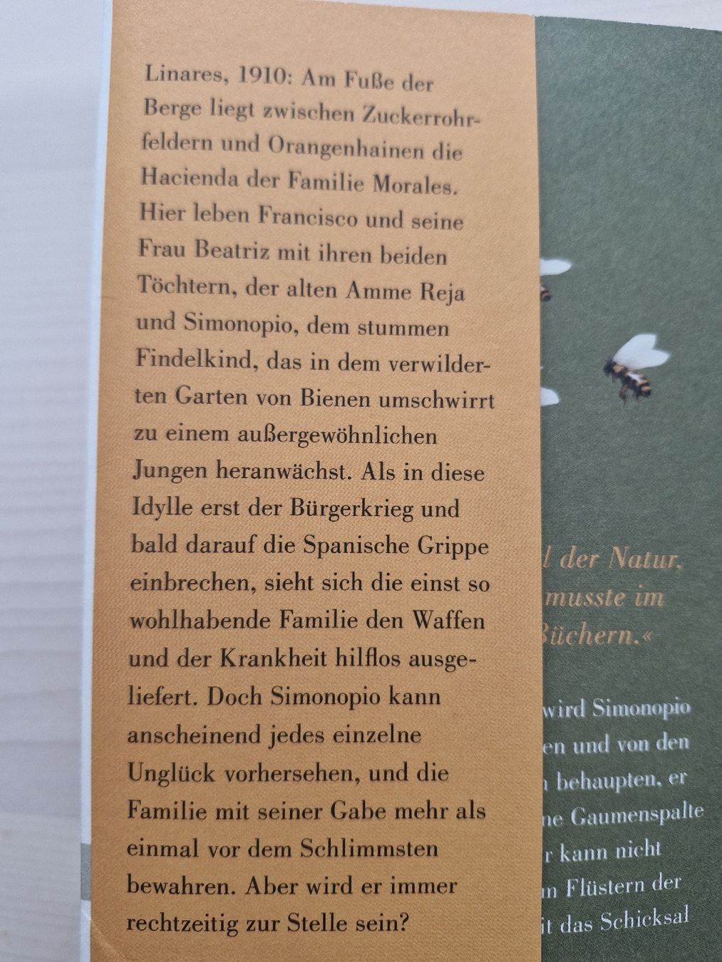Livres: Buch Das Flüstern der Bienen Roman Sofía Segovia – D'occasion à Frauenfeld par Kasico 2