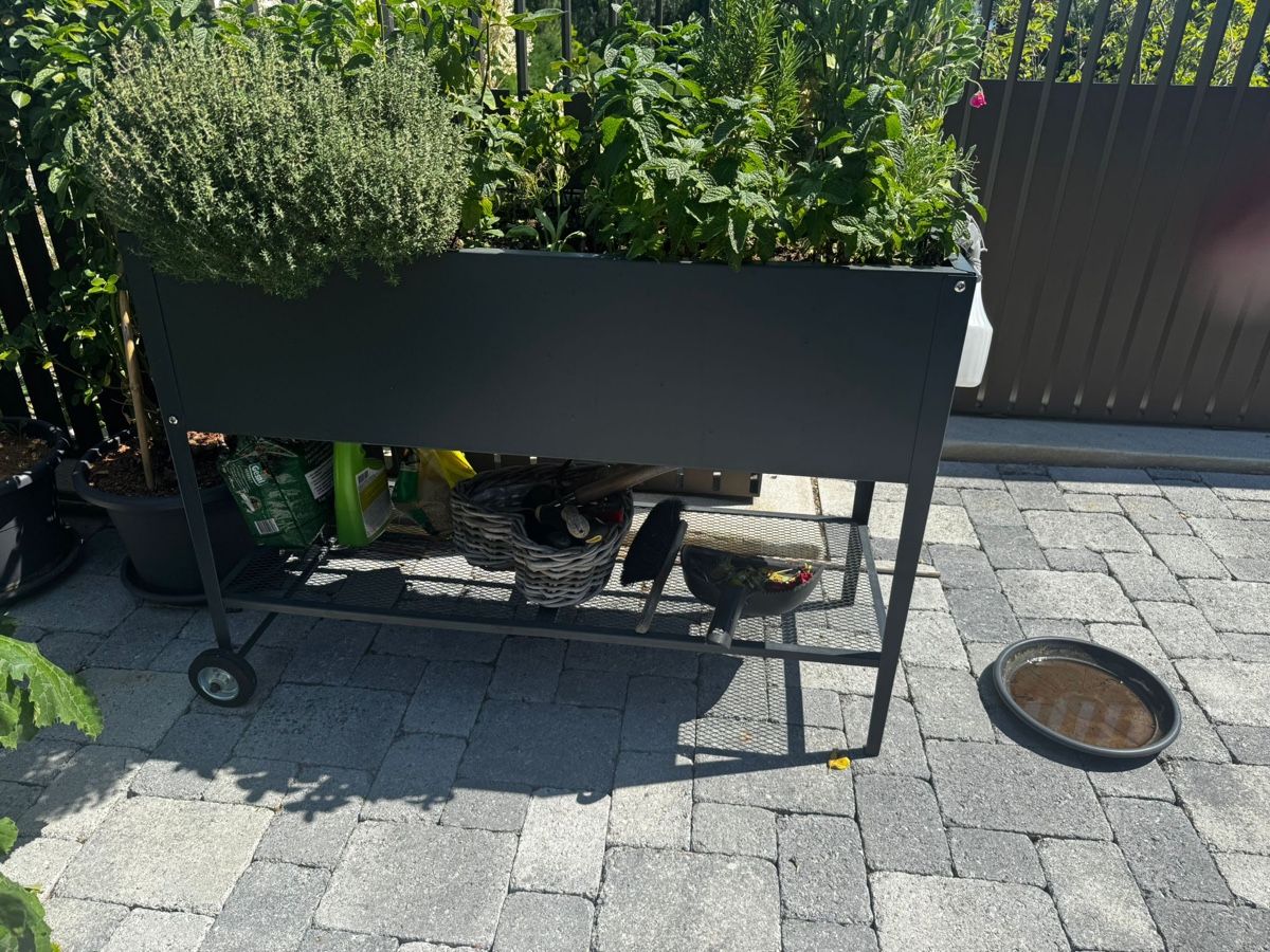Blumentöpfe: Hochbeet mit Rädern – Gebraucht aus Egg b. Zürich von Brocki_Insel_Egg