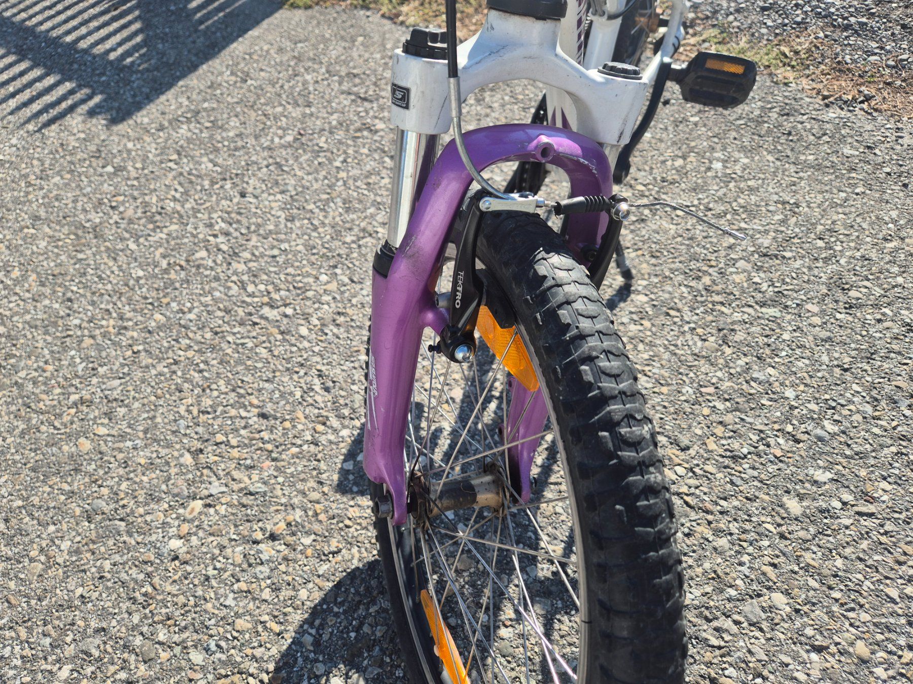 Specialized Biciclette: Kindervelo 20" Specialized – Usato da Weier im Emmental venduto da BigBalloon 2