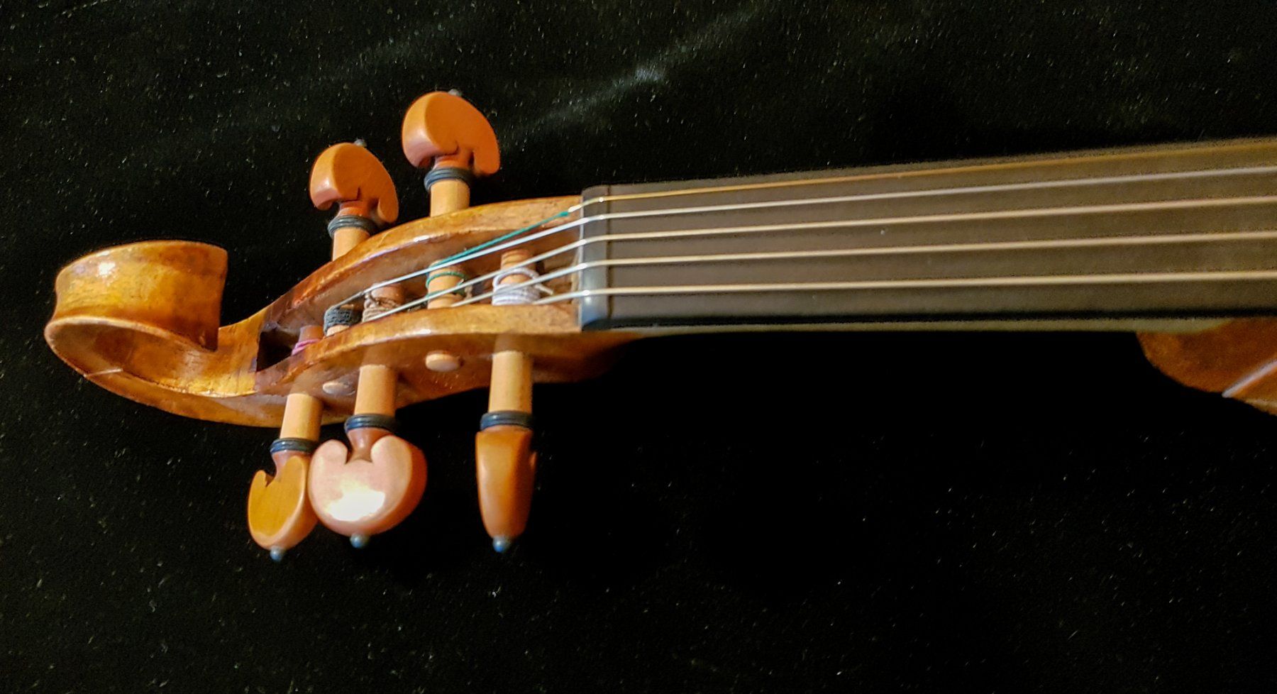 Strumenti musicali: Viola, alte Gambenform, 5-saitig – Usato da Berneck venduto da 2vulkan55 2